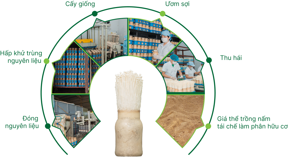 Quy trình sản xuất<