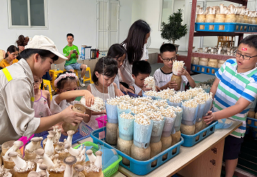 Một ngày làm người trồng nấm sạch - Trải nghiệm khó quên của các bạn nhỏ SHB tại Kinoko!